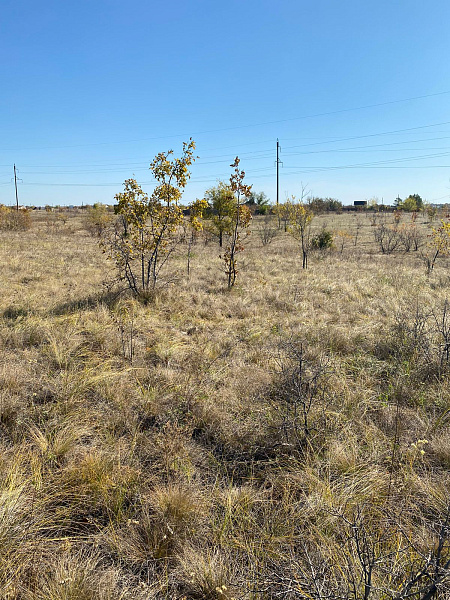 Земельный участок, садоводство, 14 сот., СНТ " Сатурн"улица 4 Линия земельный участок 209, Оренбург