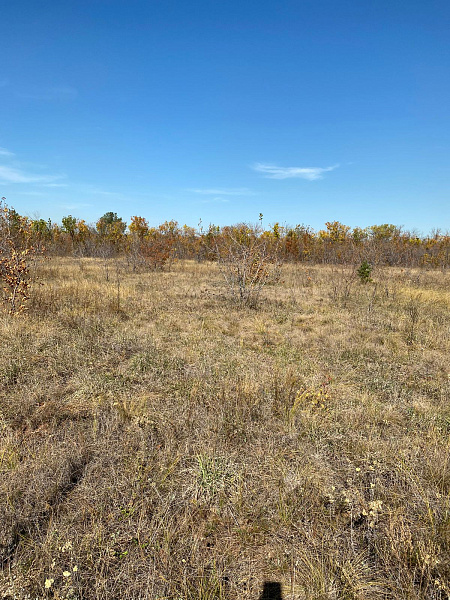 Земельный участок, садоводство, 14 сот., СНТ " Сатурн ",улица 4 Линия земельный участок, 207, Оренбург