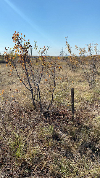 Земельный участок, садоводство, 14 сот., СНТ " Сатурн ",улица 4 Линия земельный участок, 207, Оренбург