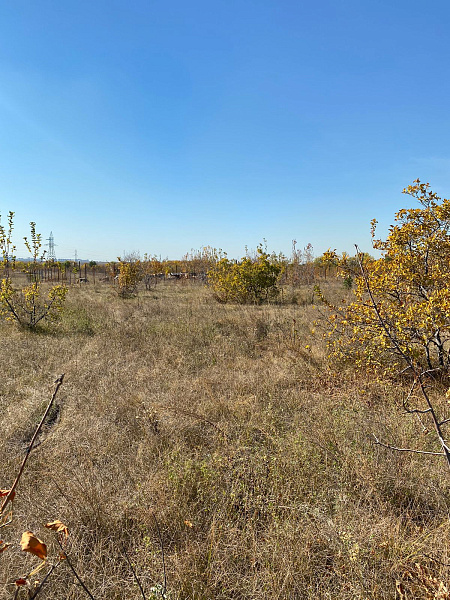 Земельный участок, садоводство, 14 сот., СНТ " Сатурн"улица 4 Линия земельный участок 209, Оренбург