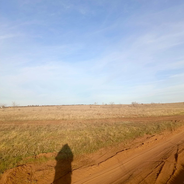 Земельный участок, садоводство, 15 сот., Бородинская, 35, Оренбург